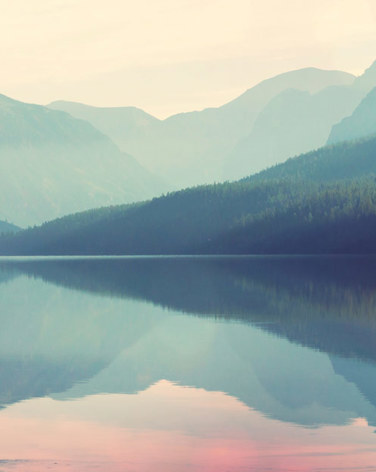 Shutterstock 376532611 Og 2903950216